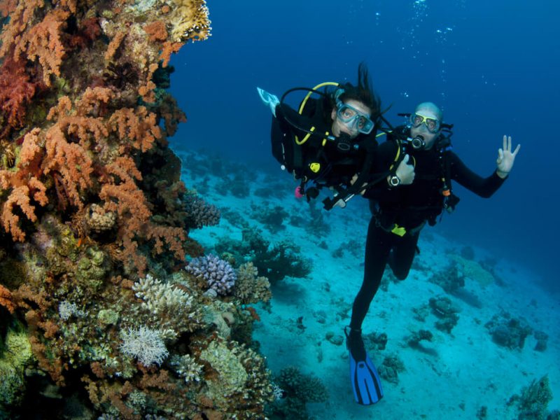 Great Barrier Reef Liveaboard