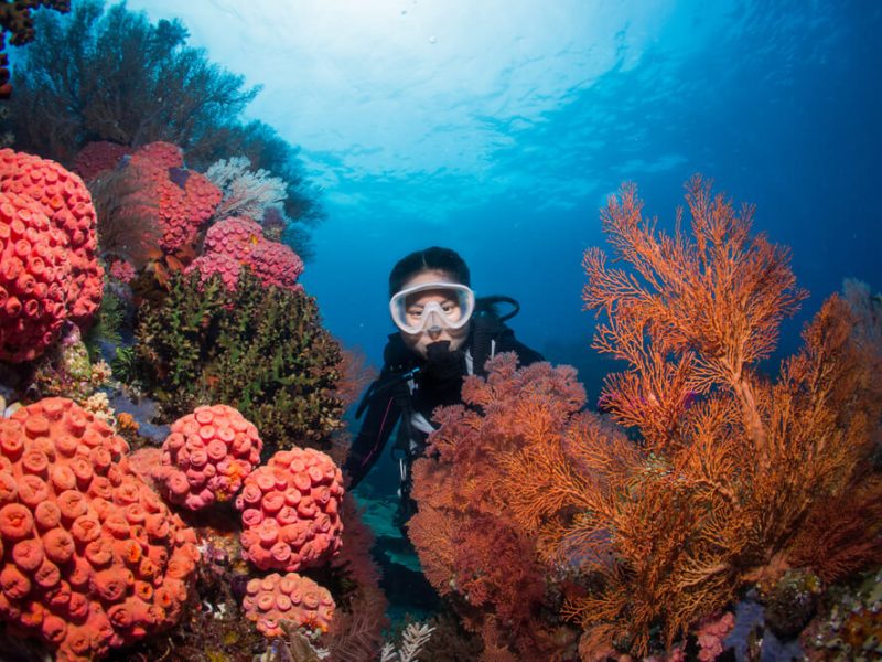 raja ampat scuba diver