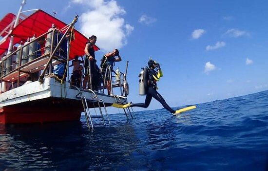 Scuba Dogs Diving Boat