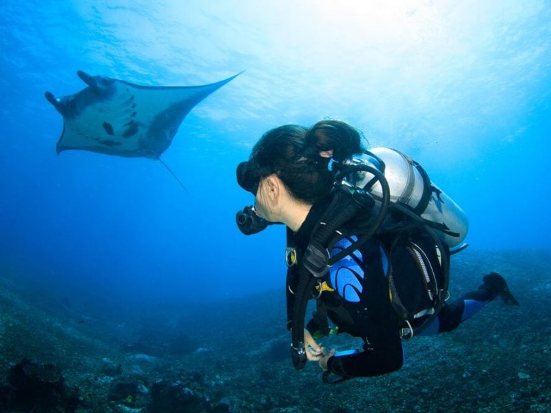 komodo female diver with manta ray