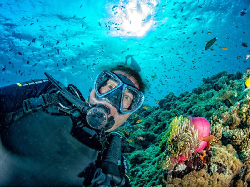 scuba diver with corals