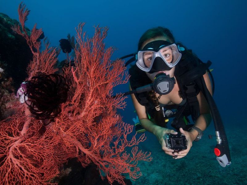 underwater photography